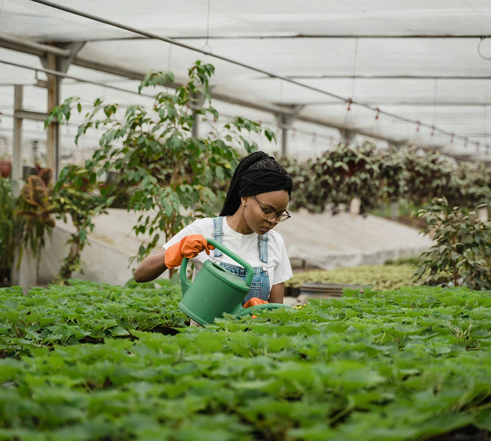 Ultrices sagittis orci a scelerisque purus semper eget duis at. Sollicitudin nibh sit amet.