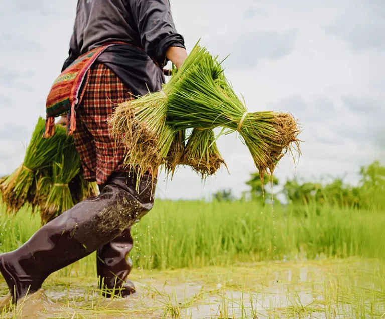 There are many variations of passages of Lorem Ipsum available, but majority have suffered teration in some form, by injected humour, or randomised words which don't look even slight believable. If you are going to use a passage of Lorem Ipsum.